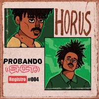 Registro 004 - Single - Probando Shit & Hórus