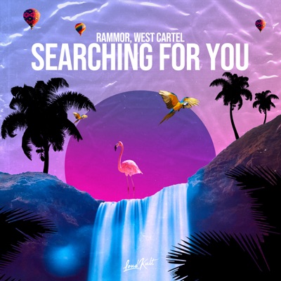 Searching for You - Single