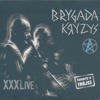 Brygada Kryzys - Radioaktywny Blok