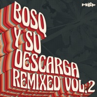 Y Su Descarga Remixed, Vol. 2 - Single - Bosq