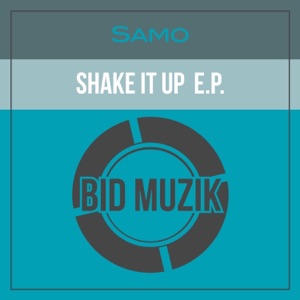 Shake It up - Single