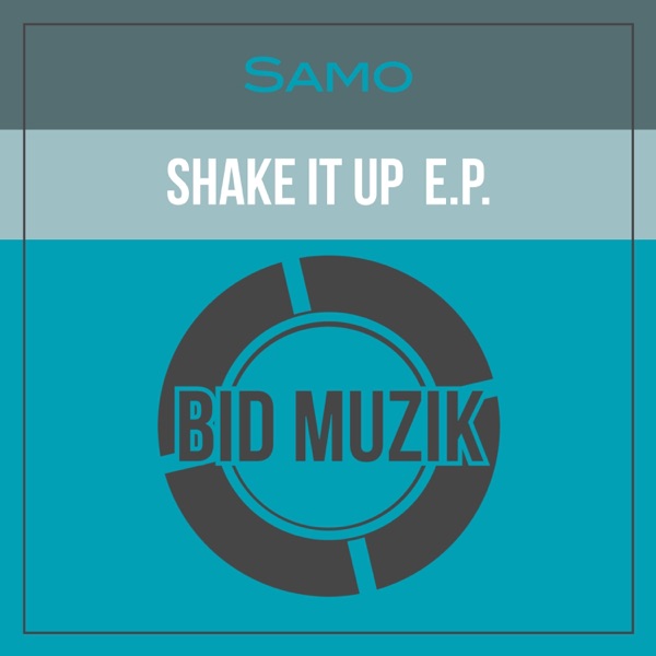 Shake It up - Single