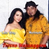 Tresno Waranggono (feat. Nurbayan) - Single