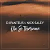 DJ Pantelis & Nick Saley - Ola Se Thimizoun