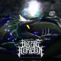 Blood of the Innocent