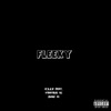 Fleeky (feat. Strategy Ki & Young Zi) - Single