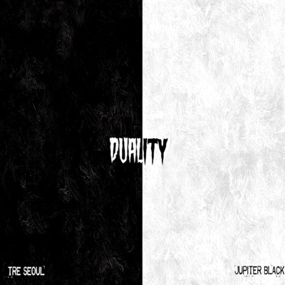 Duality