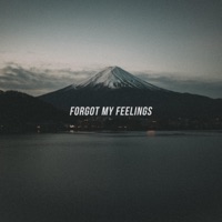 Forgot My Feelings - Single - Terminal Beats