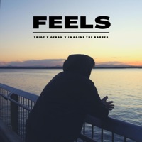 Feels - Single - Trigz, Geran & Imagine the Rapper