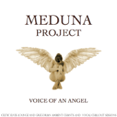 Voice of an Angel (Celtic Elves Lounge and Gregorian Ambient Chants and Vocal Chillout Sessions) - Meduna Project