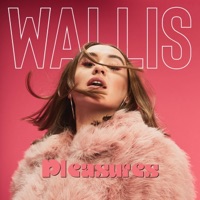 Pleasures - Single - Wallis
