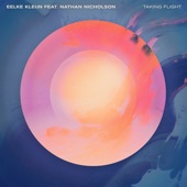 Taking Flight (feat. Nathan Nicholson) artwork