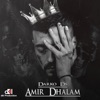 Amir dhalam - Single