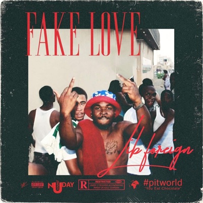 Fake Love - Single