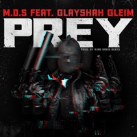 Prey (feat. Glaysha Gleim) - Single - MDS