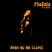 Nena no me llores artwork