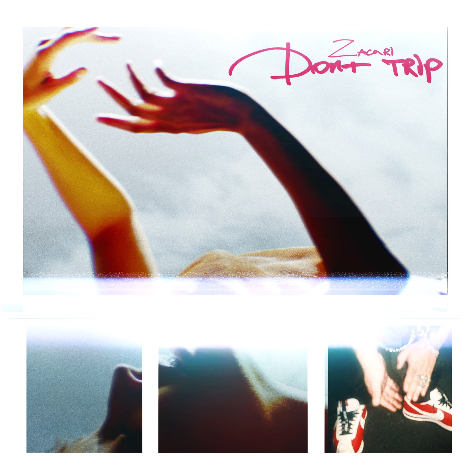 Don't Trip - Single