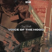 Voice of the Hood artwork