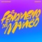 El Fenómeno del Mambo - Juan Ingaramo lyrics