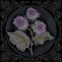 FIORI PER UNA VISITA - DAVIDE BAVA