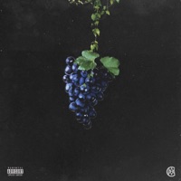 The Grapevine - W4SH