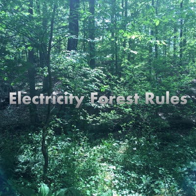 Electricity Forest Rules
