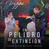 En Peligro de Extinción (Live) [feat. Farik Grippa] - Single