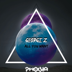 All You Want - Single