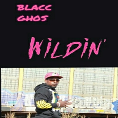 Wildin' - Single