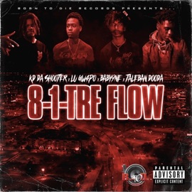 8-1-TRE FLOW (feat. Lu GW4PO, Baby9ne & Taleban Dooda) Kd Da Shooter