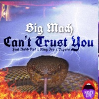 Can't Trust You (feat. Rubb Red, King Irv & Papers) - Single - Big Mach