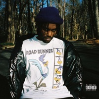 Road Runner - babydraco