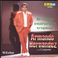 Celos de Amor