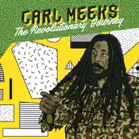 Stop The Violence — Carl Meeks