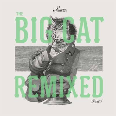 The Big Cat (Remix), Pt. 1 - Single