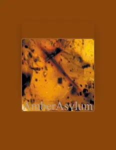 Escucha a Amber Asylum, mira videos musicales, lee su biografía, consulta las fechas de las gira y más.