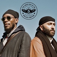 R.E.D. (feat. Yasiin Bey, Narcy & Black Bear) - Single - The Halluci Nation