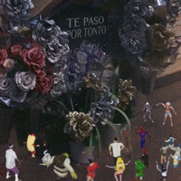 Te Paso por Tonto - Single - Pablo Neptuno