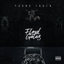 Floodgates Young Truth