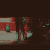 Y.O.K - Single - Armando