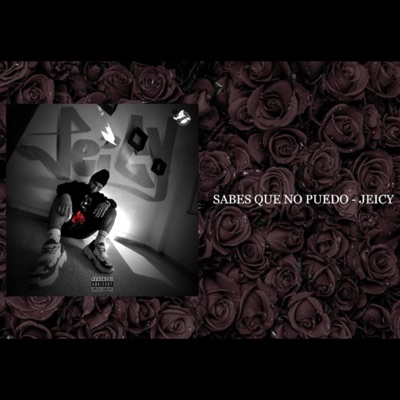 Sabes que no puedo - Single