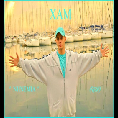 Fygame Saphari - Single