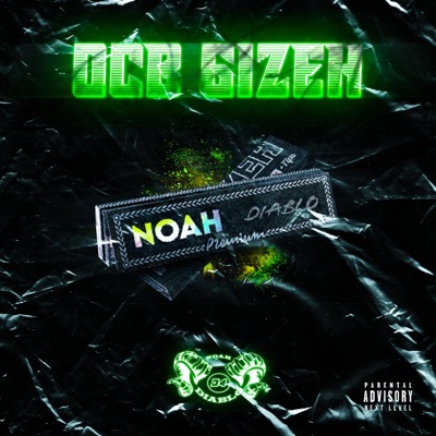 OCB GIZEH - Single