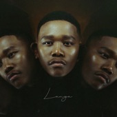 Langa artwork