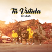 Tu Vutula artwork