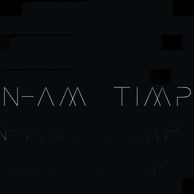 N-am Timp (feat. Tibal) - Single