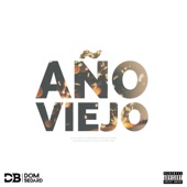 Año Viejo artwork