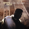 De la glace dans la gazelle - Wasis Diop