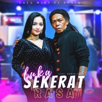 Luka Sekerat Rasa (feat. Sodiq) - Single - Lala Widy