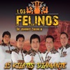 Los Felinos de Johnny Zavala - El Hijo de Susana